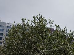 -元大都城垣遗址公园