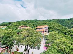 -东莞观音山旅游风景区