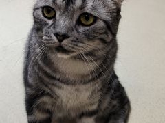 -藏猫猫咖啡主题馆(中央大道店)