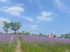 -同里国家湿地公园