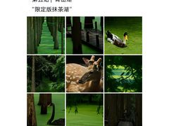 -西湖文化广场