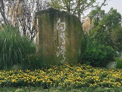 -白鹭湾湿地公园