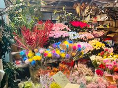-越秀西湖花市(广州城市广场花卉店)