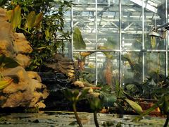 -国家植物园南园