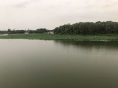 -大兴滨河森林公园