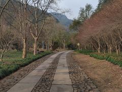 -黄公望隐居地