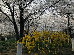 -康道天地(九六广场店)