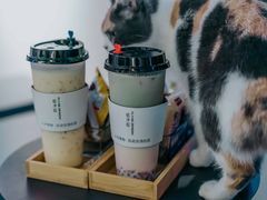 -极木²邸 人与宠物·互动社区