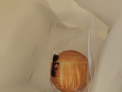 -BLACKSWAN黑天鹅(环球店)