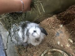 -上海大自然野生昆虫馆(东方明珠·爬宠昆虫探索中心)
