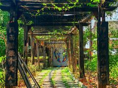 -西双版纳基诺山寨