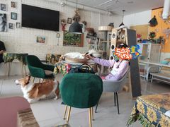 -平行世界·猫咖(首经贸店)