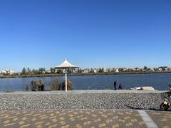 -塘沽森林公园