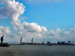 -大湾区中央湿地公园