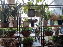 -春暖花开(西溪店)