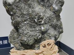 -中国第四纪冰川遗迹陈列馆