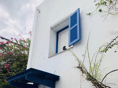-蓝顶教堂