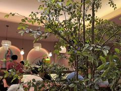 -墨纪Mojí墨西哥餐厅(官舍店)