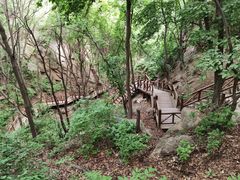 -大岭沟猕猴桃谷风景区
