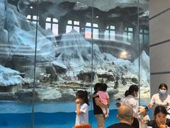 -帝企鹅自助餐厅•儿童岛•真企鹅(长隆企鹅酒店)