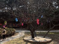 -云峰山自然风景区