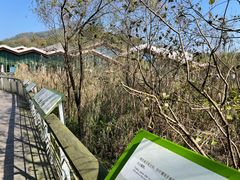 -西湖风景区-江洋畈生态公园