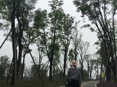 -白鹭湾湿地公园