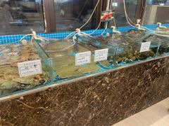 -渡海小渔村.老辈日照菜