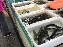 -浦商菜市场·锦德店