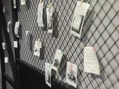 -壹迦桌游·血染钟楼剧本杀狼人杀