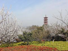 -云龙山