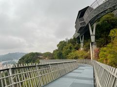 -福道