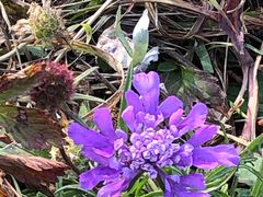 -白草畔自然风景区