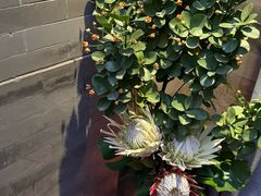 -京兆尹(雍和宫店)