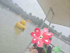 -海上田园