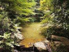 -中国茶叶博物馆(双峰馆区)