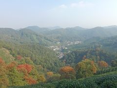 -龙井村