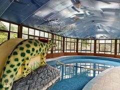 -金孔雀温泉旅游度假村