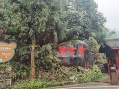 -老字号怡玺·藿香雅鱼(20年雅安店)