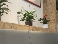 -汤宴参须肚包鸡(蒙阴店)