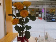 -Cafe on warm(丹霞店)