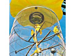 -石家庄市动物园