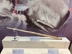 -上海中国航海博物馆