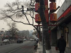 -老广酒楼(樱花店)