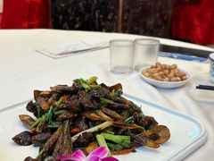 XO酱炒黑鸡纵菌-四海之家(蛇口店)