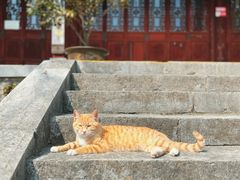 -采石矶景区