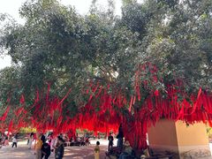 -西双版纳勐泐文化旅游区