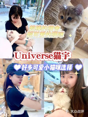 属于隔三差五就过来吃喝玩乐 逛到混际一楼 看到一家「