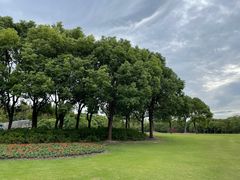 -上海滨江森林公园