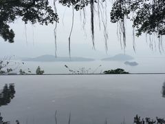 -大埔公路-马料水段香港中文大学(公交站)